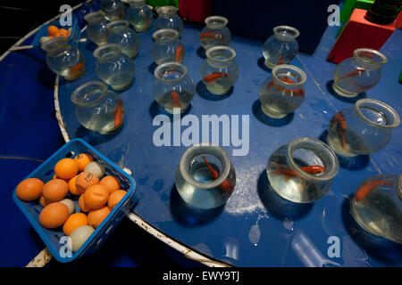 Tableau bleu plein de poissons rouges nageant dans un bocal en verre et le softball baket au musement park. Lemnos, Limnos island, Grèce. Banque D'Images