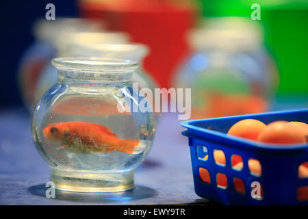 Poisson rouge flipping nageant dans un bocal de verre sale à côté de softball basket au parc d'attractions. Banque D'Images