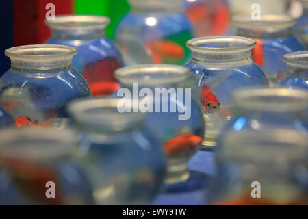 L'inversion de poissons rouges nageant dans un bocal en verre au Luna park. LMyrina ville, emnos, Limnos island, Grèce. Banque D'Images