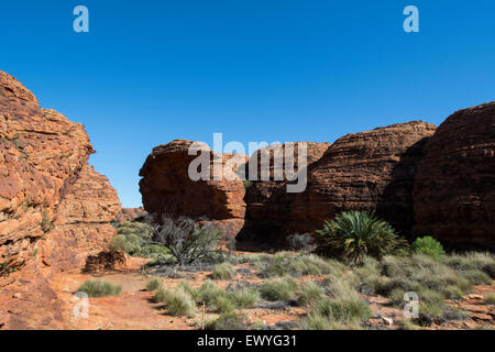 L'Australie, NT, Watarrka National Park. Kings Canyon Rim, à pied. Vue panoramique sur le désert rouge le long du canyon rim. Banque D'Images