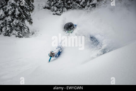 Homme ski en haute poudre en montagne, Autriche Banque D'Images