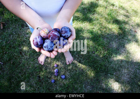 Close-up of a Boy holding prunes Banque D'Images