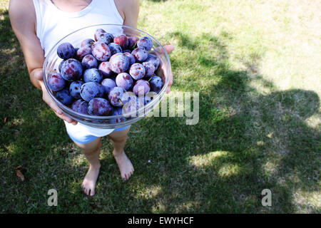 Close-up of a Boy holding a bowl de prunes Banque D'Images