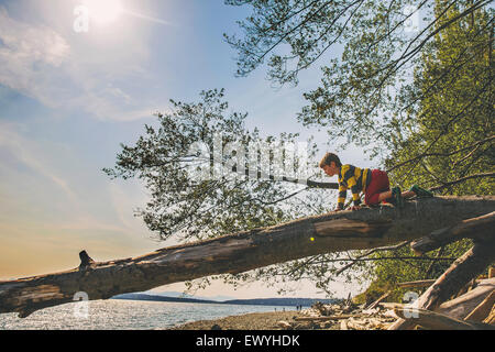 Garçon de grimper sur un tronc d'arbre par un lac Banque D'Images