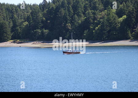 Canada, whates Orca, scènes, bateaux, mer, Banque D'Images