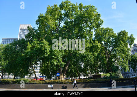 Man Walking in Cavendish Square, Londres. Banque D'Images