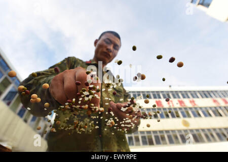 Haikou. 2 juillet, 2015. Guo Lizhen Sniper du Corps de Hainan de la Police armée du peuple chinois de travail sélectionne à partir de fèves riz dans une formation dans le sud de la Chine La province de Hainan, le 2 juillet 2015. Tireurs d'ici généralement assister à 10 heures de formation chaque jour. © Yang Ruiming/Xinhua/Alamy Live News Banque D'Images