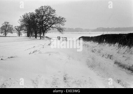 Une voiture prise dans la neige, dans le Berkshire. Janvier 1982. Banque D'Images