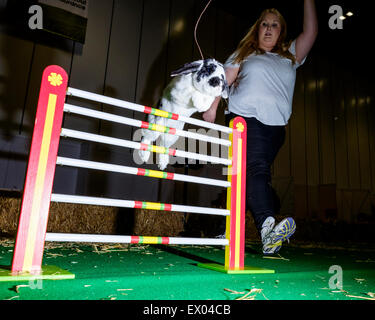 Saut d'événement au lapin ce week-end du monde animal. L'événement débute la Semaine de sensibilisation de lapin qui va du 9-17ème mai. Le saut de lapin a lieu à ExCeL London ce week-end dans le cadre du London Pet Show. Banque D'Images