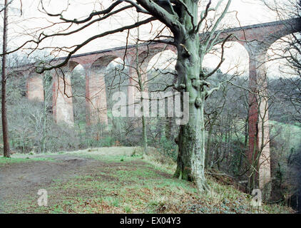 Paris Viaduc, Skelton Beck, Tees Valley, le 25 mars 1991. Banque D'Images