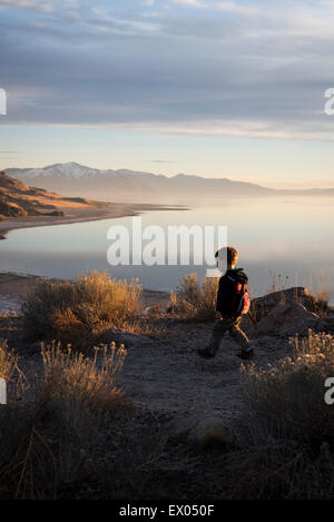 Randonnées tout-petits, Buffalo Point Trail, Antelope Island State Park, Utah, USA Banque D'Images