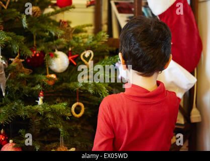 Boy decorating Christmas Tree Banque D'Images