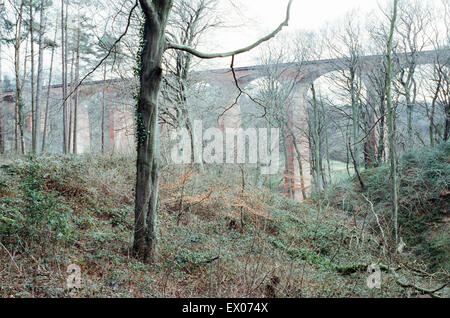 Paris Viaduc, Skelton Beck, Tees Valley, le 25 mars 1991. Banque D'Images