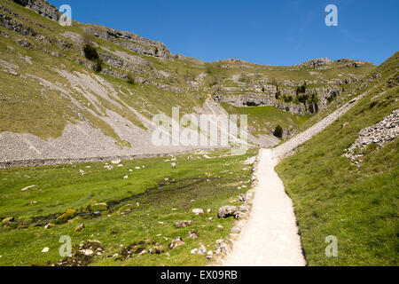 Gordale Scar calcaire carbonifère gorge, Yorkshire Dales national park, England, UK Banque D'Images