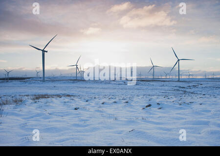 Éoliennes sur le paysage de sable, Ayrshire, Scotland Banque D'Images