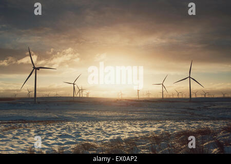 Éoliennes sur le paysage de sable, Ayrshire, Scotland Banque D'Images