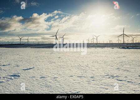 Éoliennes sur le paysage de sable, Ayrshire, Scotland Banque D'Images