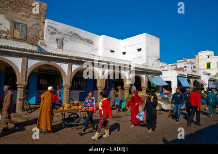 Avenue Zerktouni, Mellah, quartier juif, Essaouira, Côte Atlantique, Maroc, Afrique du Nord Banque D'Images