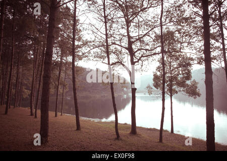 Pang Tong sous Royal Forest Park ( Pang ung ) Banque D'Images