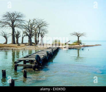 Fort James débarcadère et les baobabs, Kunta Kinteh island, l'île James, Gambie, Afrique de l'Ouest Banque D'Images