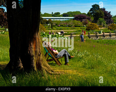 Woman relaxing in transat à côté arbre à Trentham Gardens près de Stoke on Trent Staffordshire England UK Banque D'Images