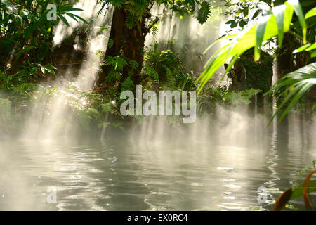 Rayons de soleil qui descend à travers la forêt de brouillard dans un bassin tranquille dans une forêt tropicale Banque D'Images