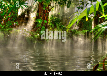 Rayons de soleil qui descend à travers la forêt de brouillard dans un bassin tranquille dans une forêt tropicale Banque D'Images