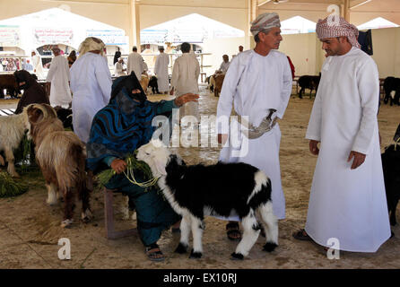 Bedu (bédouins) personnes l'achat et la vente de chèvres à Sinaw en marché des animaux, de l'Oman Banque D'Images