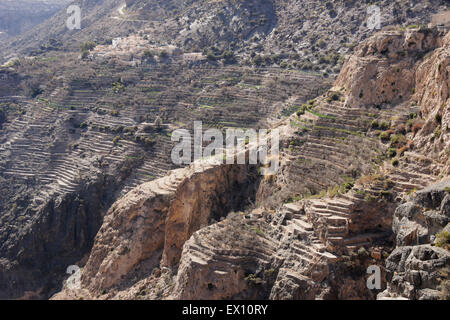 Village et terrasses agricoles sur Jebel Akhdar, Al Hajar Mountains, Sultanat d'Oman Banque D'Images