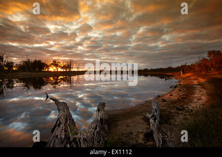 La première lumière sur Billabong, à côté de Murray River, près de Merbein, Victoria, Australie. Banque D'Images