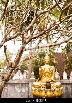 Un jardin de Bouddhas à l'intérieur Wat Choumkhong. Les Bouddhas montrent certains des 7 positions de Bouddha.Luang Prabang,Laos Banque D'Images