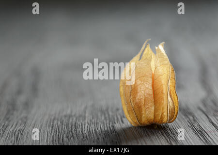 Physalis des fruits sur la table en bois de chêne Banque D'Images