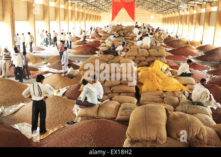 16 avril 2014 - 16 avril 2014 - Yavatmal, Inde :.Les agriculteurs attendent avec leurs produits pour la vente aux enchères de céréales alimentaires pour lancer sur le marché de gros du marché du grain à Yavatmal au Maharashtra, Inde.L'Inde, le plus grand producteur de lait et le deuxième plus grand producteur de fruits et légumes, est aussi l'un des plus grands gaspilleurs de l'alimentation dans le monde - gaspiller 440 milliards de dollars de fruits, légumes, céréales et tous les ans, selon Emerson Climate Technologies de l'Inde, partie d'Emerson, une unité de fabrication sur la technologie et société. Les solutions de stockage à froid, qui font cruellement défaut en J Banque D'Images