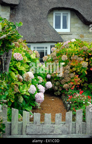 Chalet de Steephill Cove près de Ventnor, île de Wight, Angleterre Angleterre Europe Banque D'Images