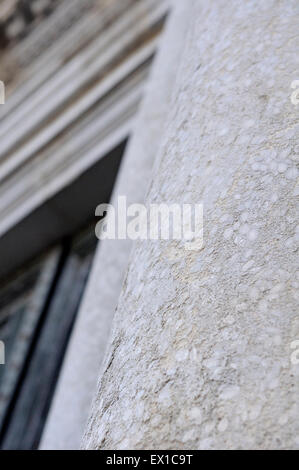 Nummulites de l'entrée des colonnes de la façade ouest de la cathédrale de Saint Felix dans la vieille ville de Gérone. La Catalogne. L'Espagne. Banque D'Images