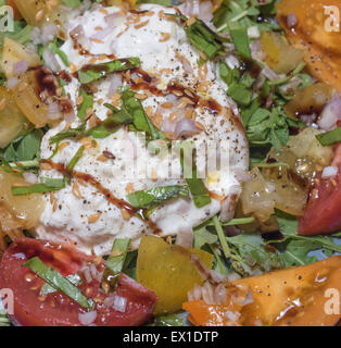 Salade de Burrata avec tomates, herbes et graines Banque D'Images