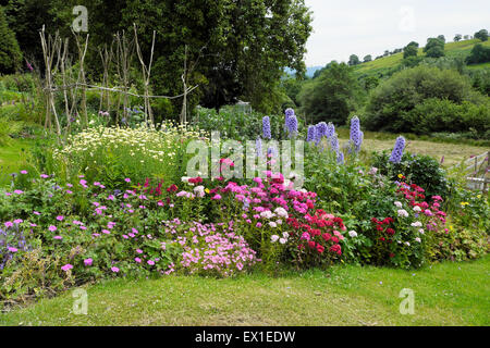 Vue sur le beau jardin de cottage herbacé frontière mixte fleurs campagne en fleur jardin situé dans la campagne dans le pays de Galles de l'Ouest Royaume-Uni KATHY DEWITT Banque D'Images