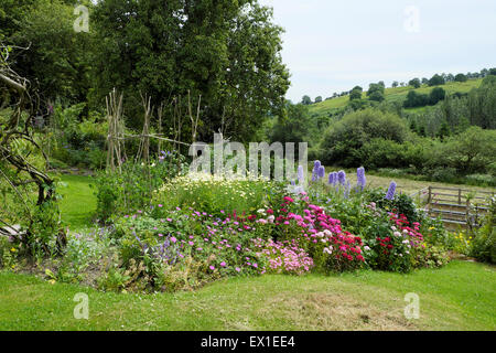 Magnifique jardin de maison vivaces dans une bordure herbacée de fleurs dans un jardin rural de campagne Carmarthenshire West Wales UK KATHY DEWITT Banque D'Images