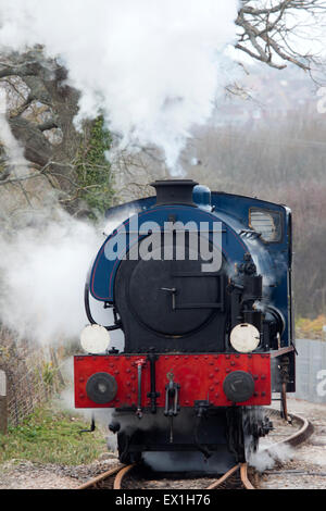 Saddle tank locomotive à vapeur, île de Wight, Angleterre, Royaume-Uni. Banque D'Images