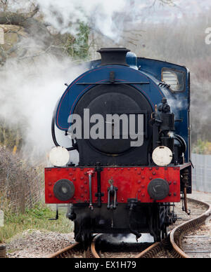 Saddle tank locomotive à vapeur, île de Wight, Angleterre, Royaume-Uni. Banque D'Images