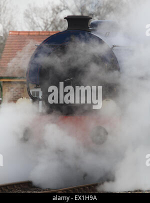 Un réservoir de piqûre à vapeur locomotive à vapeur, île de Wight, Angleterre, Royaume-Uni. Banque D'Images