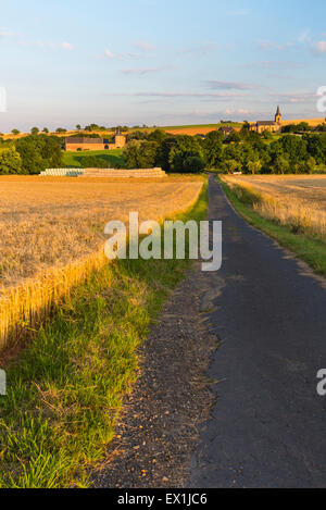 Une route de campagne menant à travers les champs d'or vers un village de l'Eifel, en Allemagne. Banque D'Images