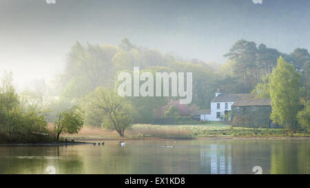 Début du printemps matin libre d'une ferme dans la brume, situé près de Derwent Water, Lake District en Cumbrie au Royaume-Uni Banque D'Images