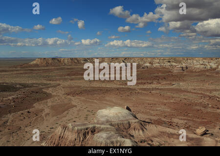 Une photographie de paysage Parc National de la Forêt Pétrifiée, en Arizona. Petrified Forest National Park est un des États-Unis. Banque D'Images