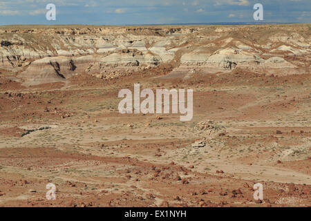 Une photographie de paysage Parc National de la Forêt Pétrifiée, en Arizona. Petrified Forest National Park est un des États-Unis. Banque D'Images