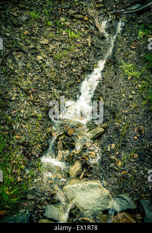 Flux rapide dans une forêt en Bieszczady, Pologne Banque D'Images