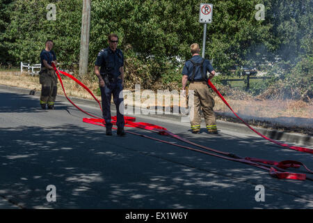 Vancouver, Canada. 4 juillet, 2014. Les fumeurs négligents de jeter leurs cigarettes par la fenêtre et l'herbe sèche prend feu à Vancouver (Colombie-Britannique) Canada le 4 juillet 2015 . Crédit : Frank Pali/Alamy Live News Banque D'Images