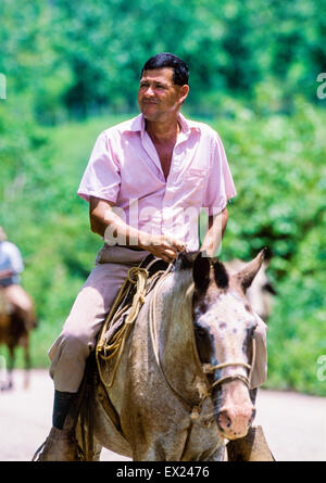 Sabanero cowboys du bétail sur la conduite la péninsule d'Osa Costa Rica Banque D'Images