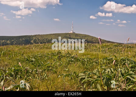 Vysoka pré sur la colline de trou et Praded Hill avec la tour de télévision à Jeseniky mountains Banque D'Images