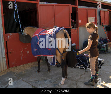 La préparation des chevaux pour le spectacle au salon Royal Adelaide, Australie du Sud. Banque D'Images